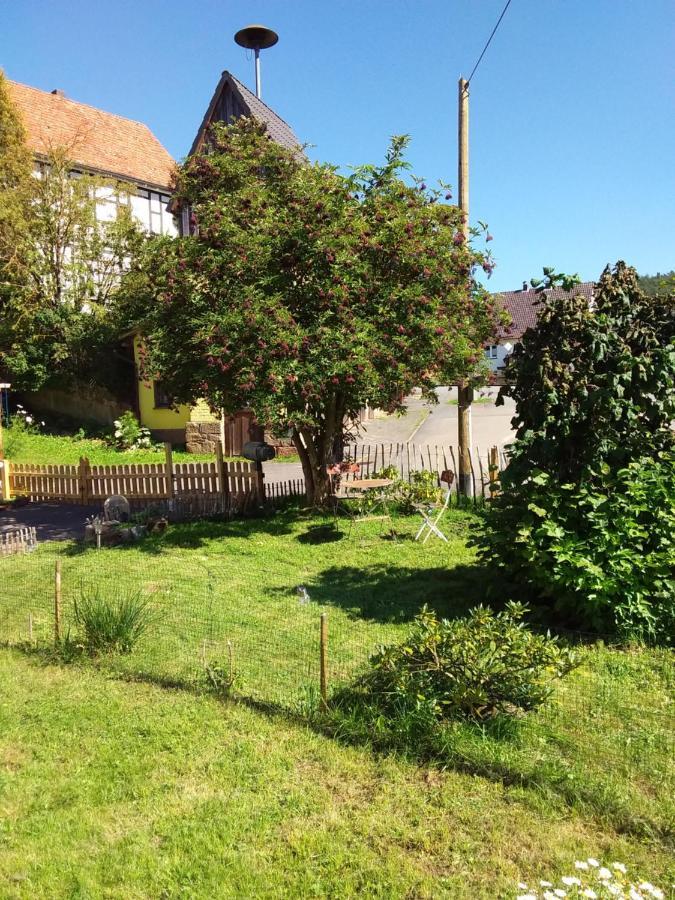 Appartement An Der Bicke Dehringhausen Esterno foto